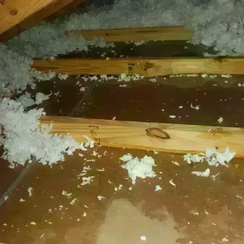 Attic Water Damage in Monticello, MN